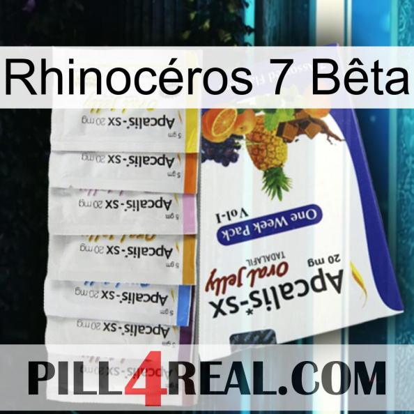 Rhinocéros 7 Bêta 11.jpg